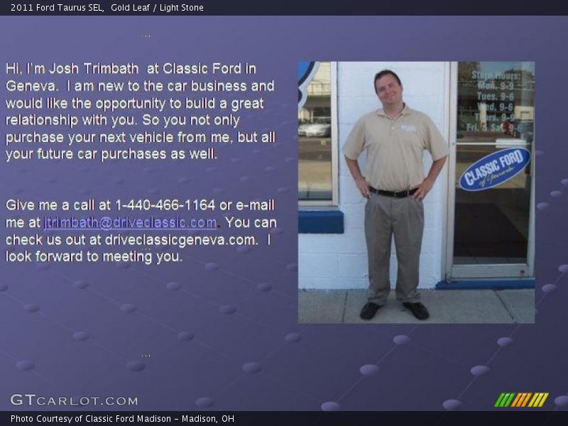 Gold Leaf / Light Stone 2011 Ford Taurus SEL