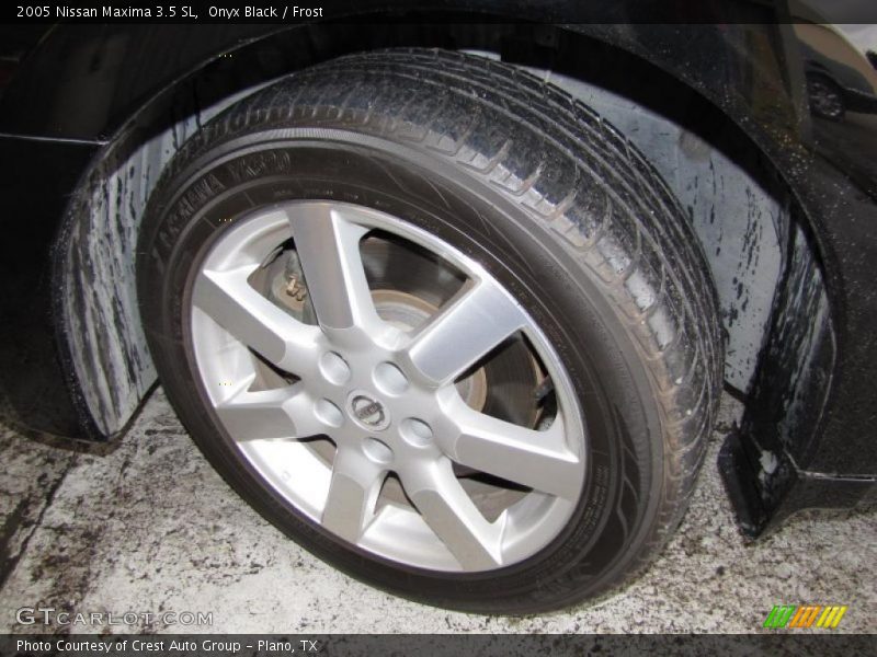 Onyx Black / Frost 2005 Nissan Maxima 3.5 SL