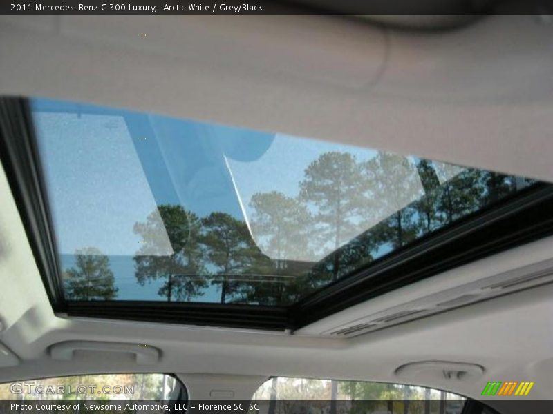Arctic White / Grey/Black 2011 Mercedes-Benz C 300 Luxury