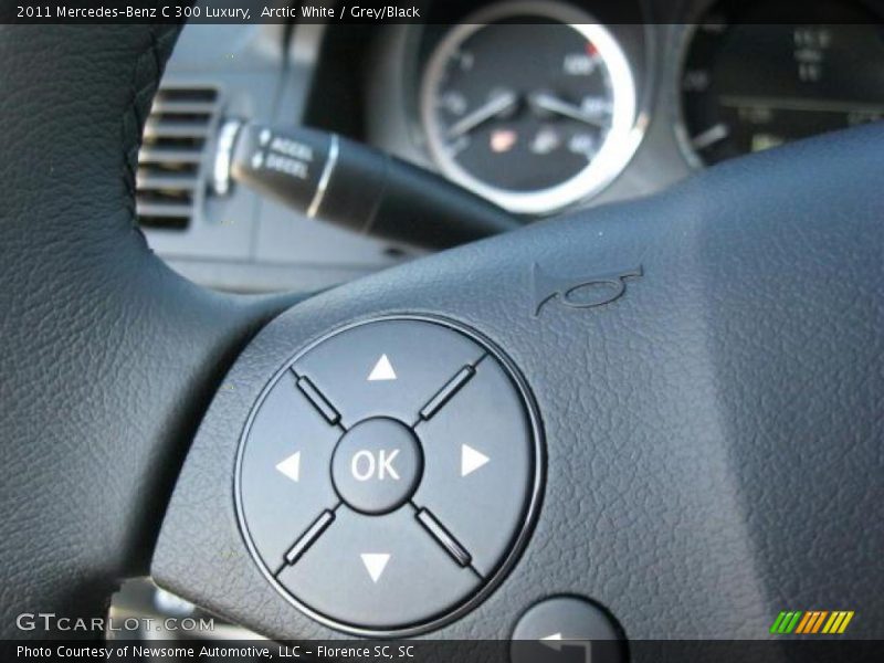 Arctic White / Grey/Black 2011 Mercedes-Benz C 300 Luxury