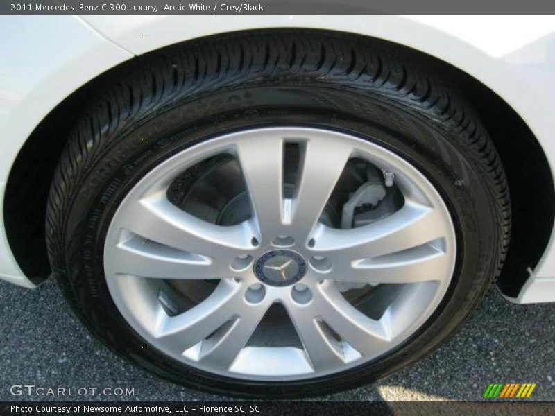 Arctic White / Grey/Black 2011 Mercedes-Benz C 300 Luxury