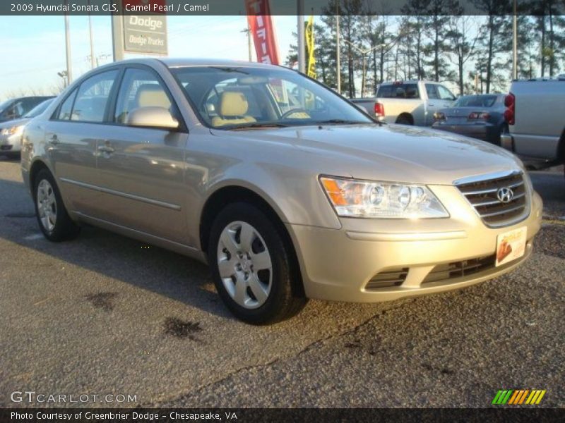 Camel Pearl / Camel 2009 Hyundai Sonata GLS