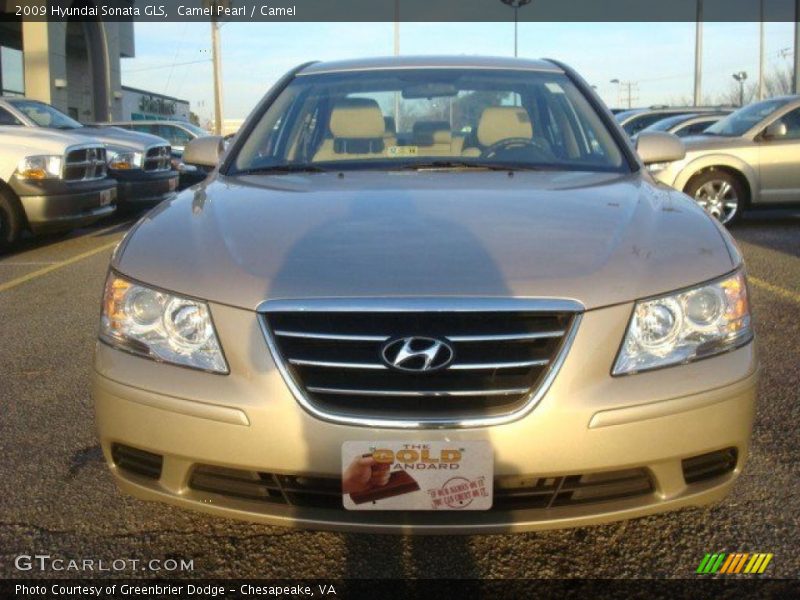 Camel Pearl / Camel 2009 Hyundai Sonata GLS