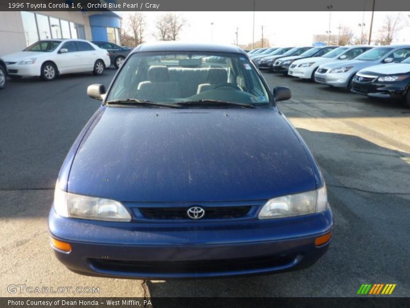 Orchid Blue Pearl / Gray 1996 Toyota Corolla 1.6