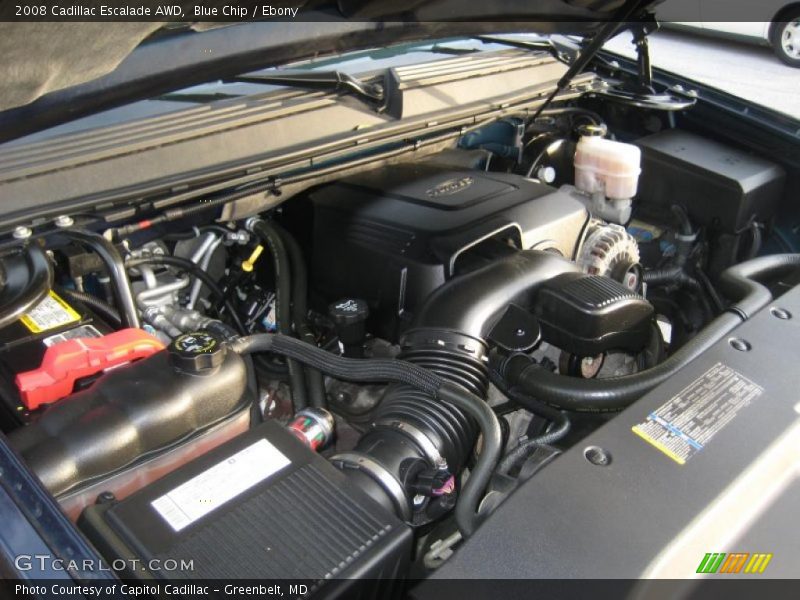 Blue Chip / Ebony 2008 Cadillac Escalade AWD