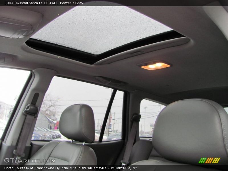 Pewter / Gray 2004 Hyundai Santa Fe LX 4WD