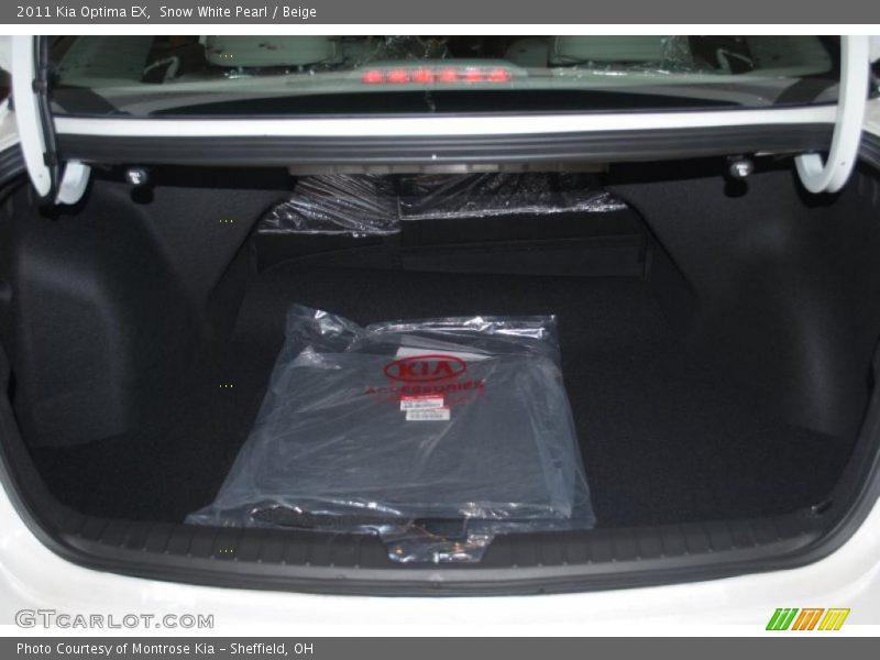 Snow White Pearl / Beige 2011 Kia Optima EX