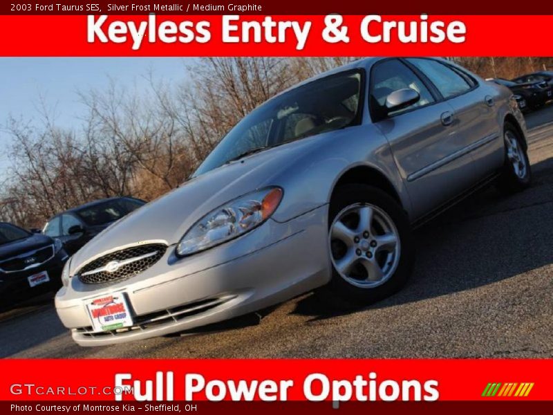 Silver Frost Metallic / Medium Graphite 2003 Ford Taurus SES