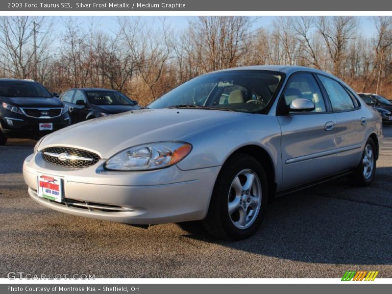 Silver Frost Metallic / Medium Graphite 2003 Ford Taurus SES