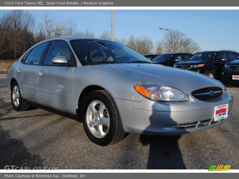 Silver Frost Metallic / Medium Graphite 2003 Ford Taurus SES
