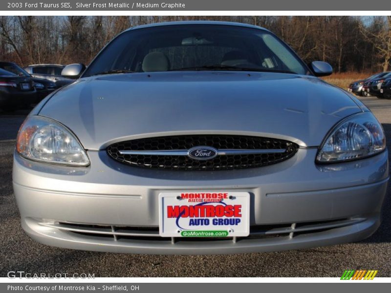 Silver Frost Metallic / Medium Graphite 2003 Ford Taurus SES