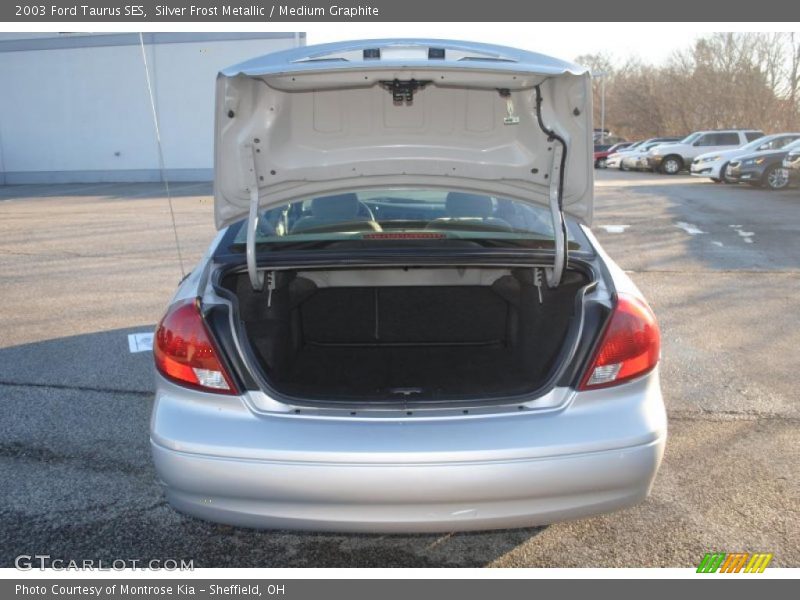 Silver Frost Metallic / Medium Graphite 2003 Ford Taurus SES