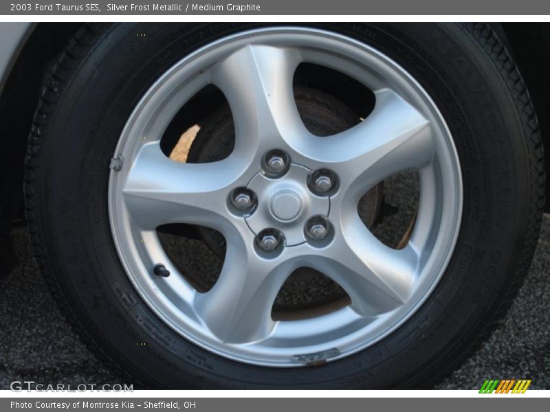 Silver Frost Metallic / Medium Graphite 2003 Ford Taurus SES