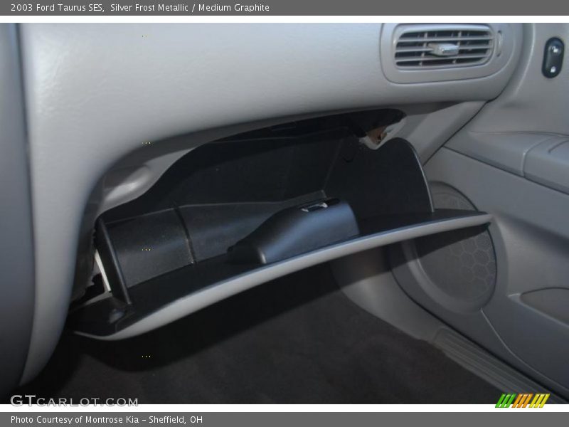Silver Frost Metallic / Medium Graphite 2003 Ford Taurus SES