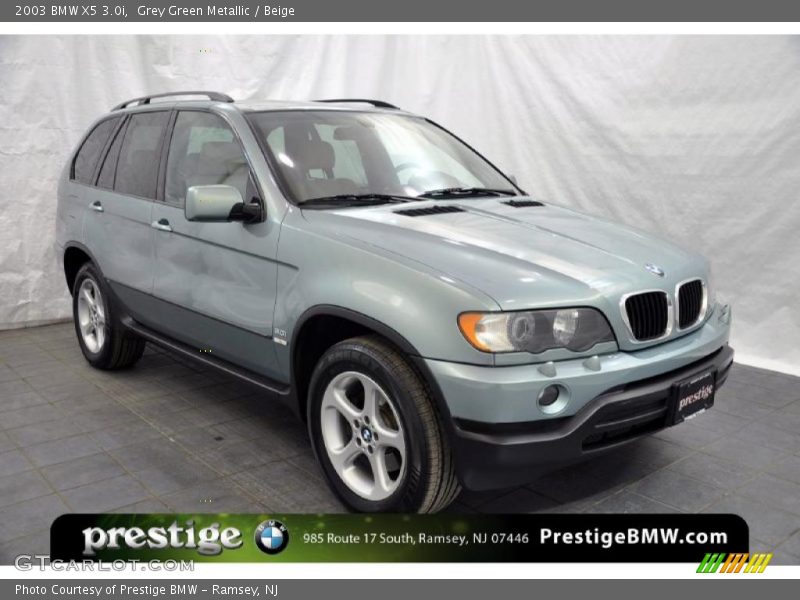 Grey Green Metallic / Beige 2003 BMW X5 3.0i