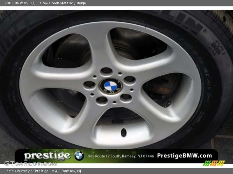 Grey Green Metallic / Beige 2003 BMW X5 3.0i