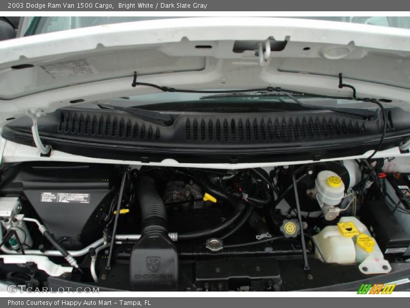 Bright White / Dark Slate Gray 2003 Dodge Ram Van 1500 Cargo