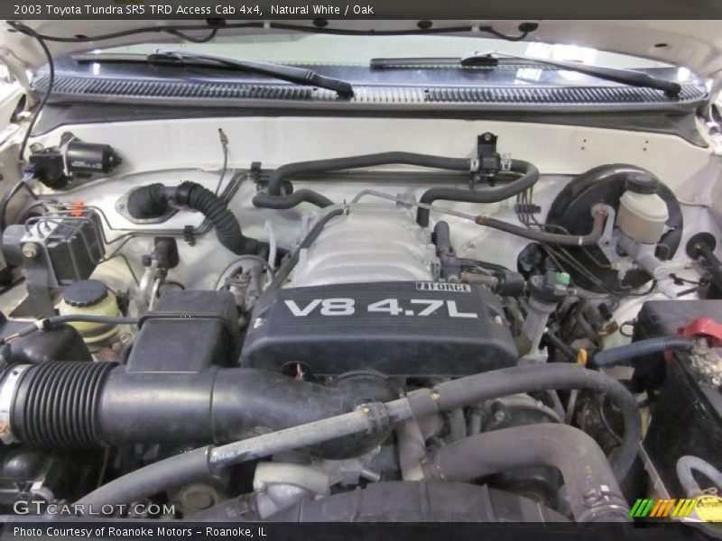 Natural White / Oak 2003 Toyota Tundra SR5 TRD Access Cab 4x4