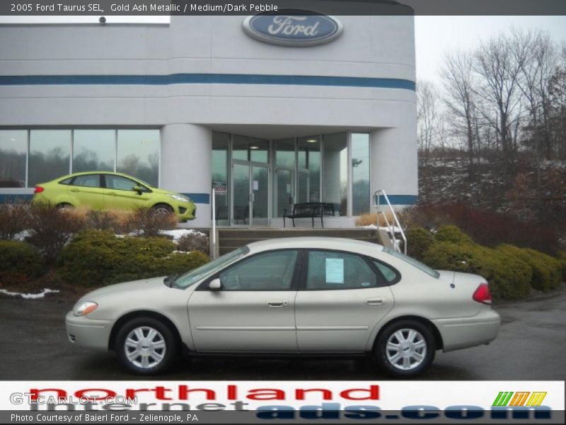 Gold Ash Metallic / Medium/Dark Pebble 2005 Ford Taurus SEL