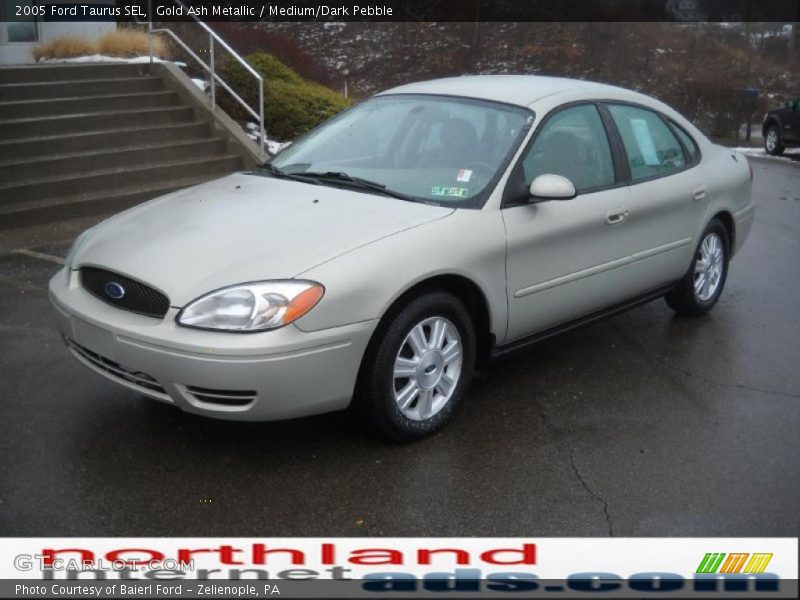 Gold Ash Metallic / Medium/Dark Pebble 2005 Ford Taurus SEL