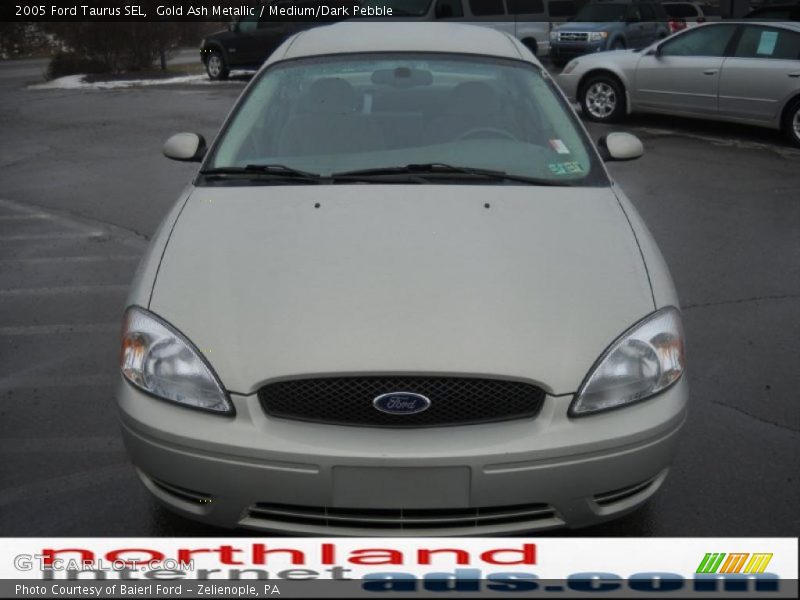 Gold Ash Metallic / Medium/Dark Pebble 2005 Ford Taurus SEL