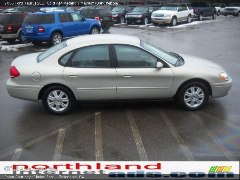 Gold Ash Metallic / Medium/Dark Pebble 2005 Ford Taurus SEL