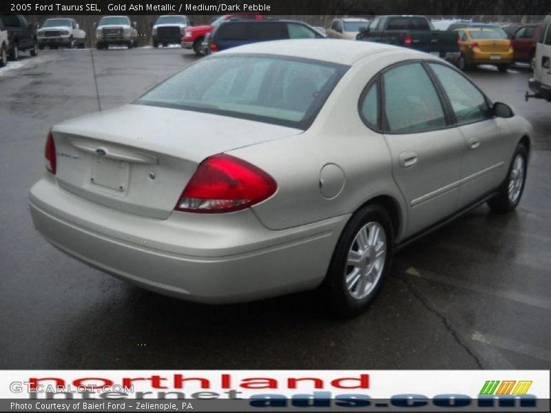 Gold Ash Metallic / Medium/Dark Pebble 2005 Ford Taurus SEL