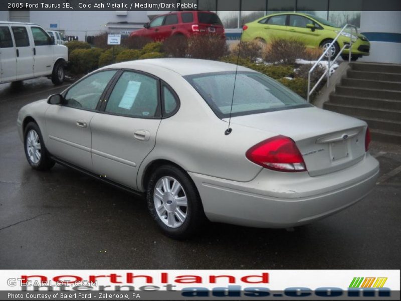 Gold Ash Metallic / Medium/Dark Pebble 2005 Ford Taurus SEL