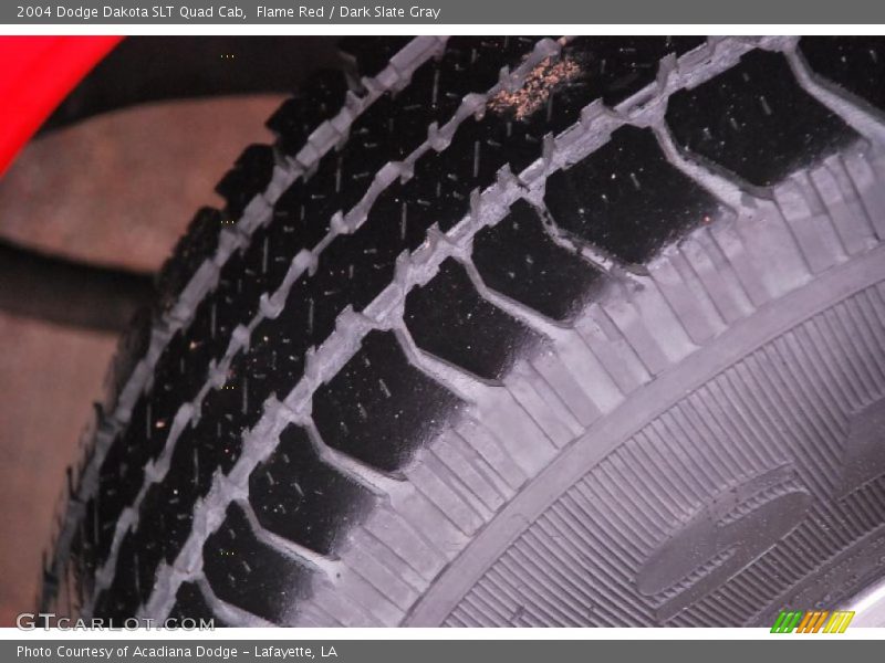Flame Red / Dark Slate Gray 2004 Dodge Dakota SLT Quad Cab