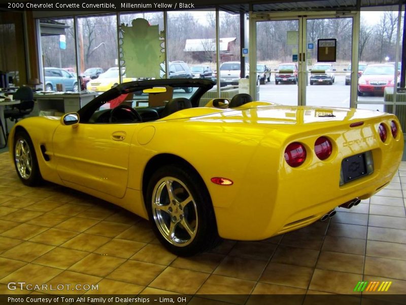 Millennium Yellow / Black 2000 Chevrolet Corvette Convertible