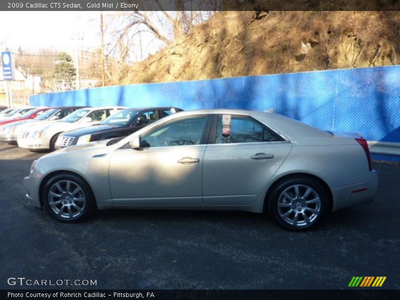 Gold Mist / Ebony 2009 Cadillac CTS Sedan