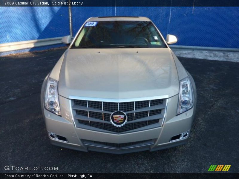 Gold Mist / Ebony 2009 Cadillac CTS Sedan