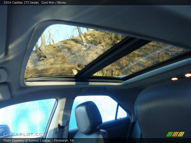 Gold Mist / Ebony 2009 Cadillac CTS Sedan