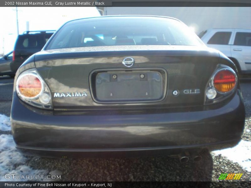 Gray Lustre Metallic / Black 2002 Nissan Maxima GLE