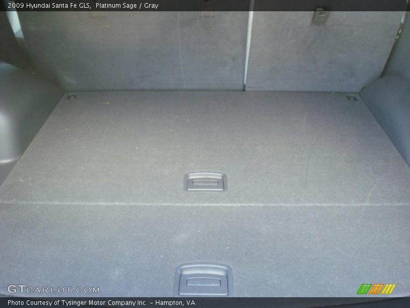 Platinum Sage / Gray 2009 Hyundai Santa Fe GLS