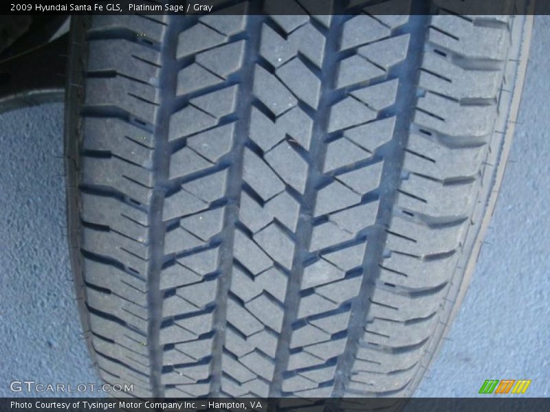 Platinum Sage / Gray 2009 Hyundai Santa Fe GLS