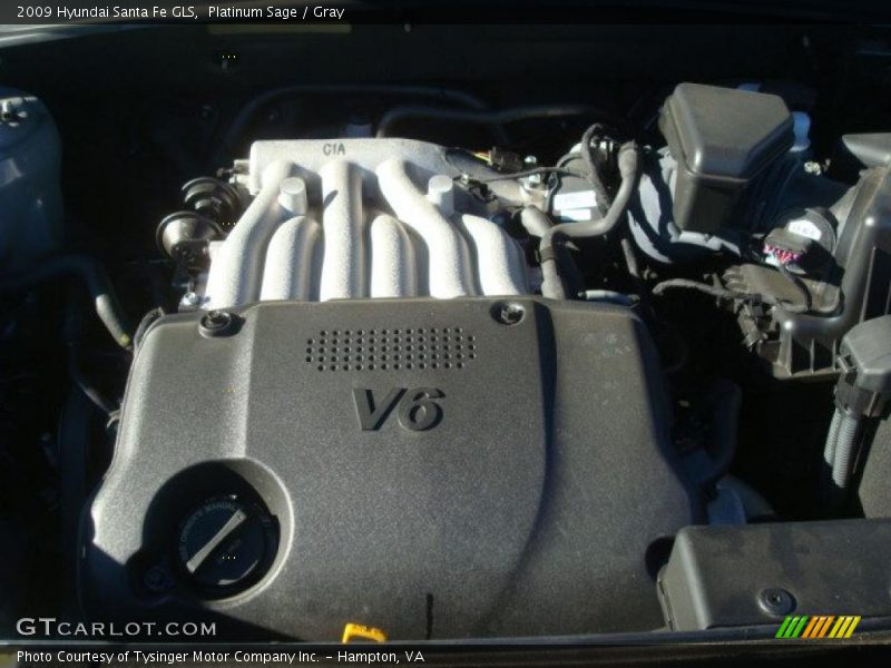 Platinum Sage / Gray 2009 Hyundai Santa Fe GLS