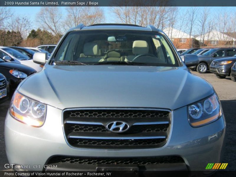 Platinum Sage / Beige 2009 Hyundai Santa Fe Limited