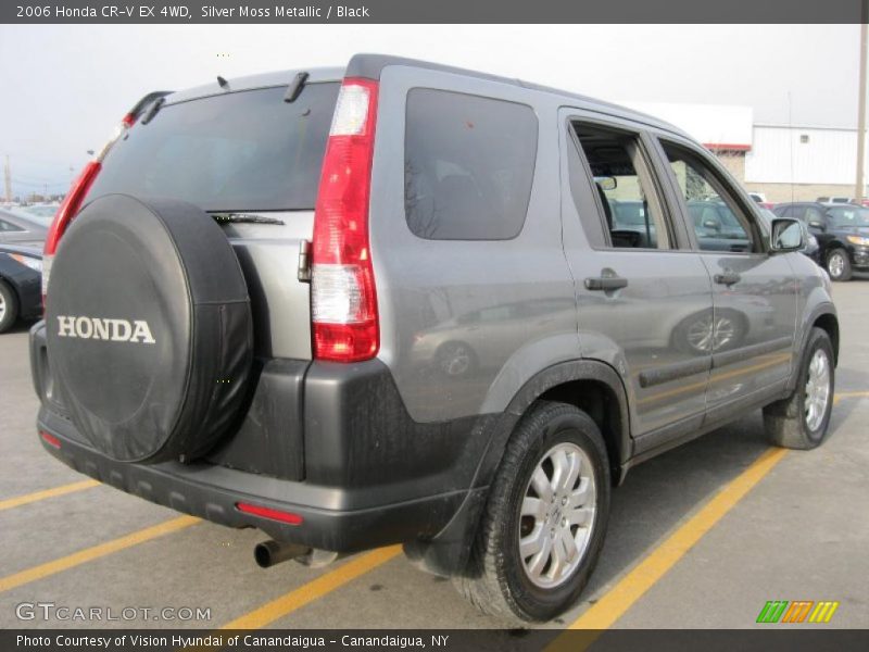 Silver Moss Metallic / Black 2006 Honda CR-V EX 4WD