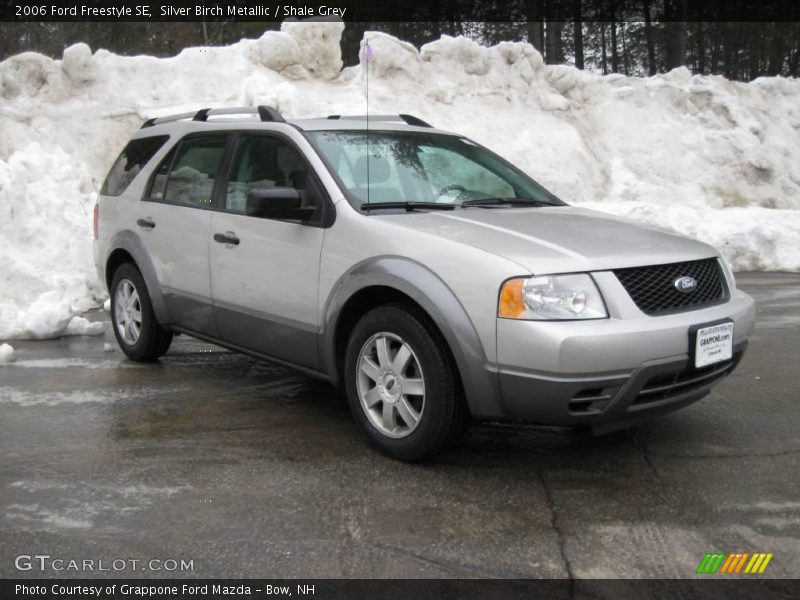 Silver Birch Metallic / Shale Grey 2006 Ford Freestyle SE