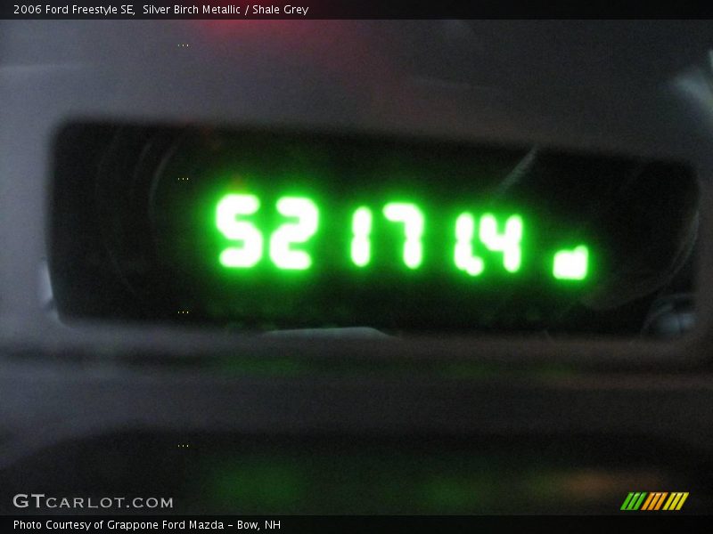 Silver Birch Metallic / Shale Grey 2006 Ford Freestyle SE