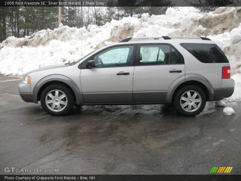 Silver Birch Metallic / Shale Grey 2006 Ford Freestyle SE