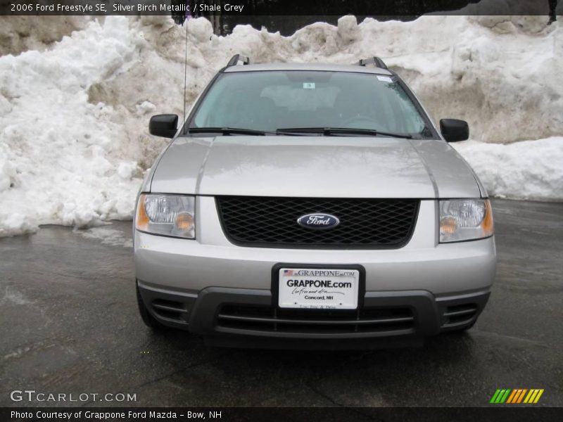 Silver Birch Metallic / Shale Grey 2006 Ford Freestyle SE