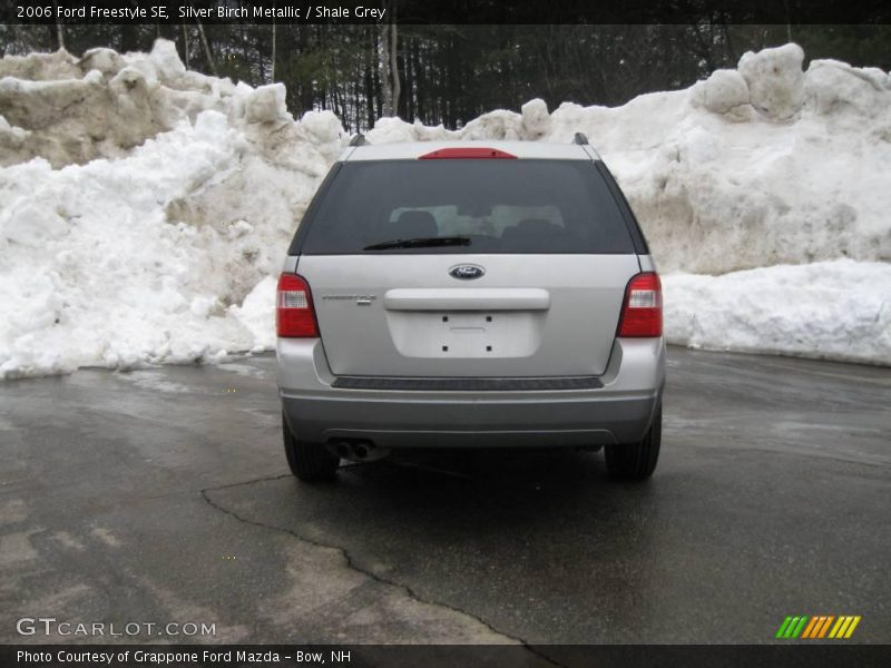 Silver Birch Metallic / Shale Grey 2006 Ford Freestyle SE
