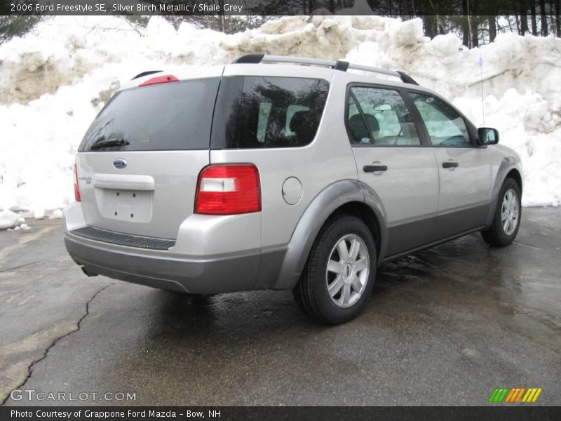 Silver Birch Metallic / Shale Grey 2006 Ford Freestyle SE