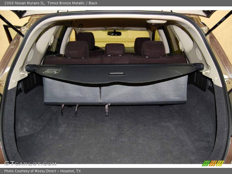 Tinted Bronze Metallic / Black 2009 Nissan Murano SL