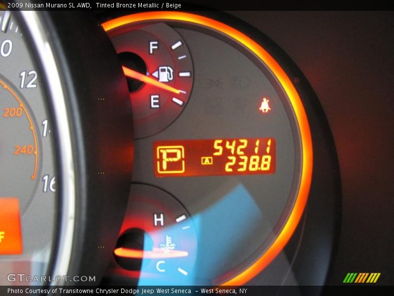 Tinted Bronze Metallic / Beige 2009 Nissan Murano SL AWD