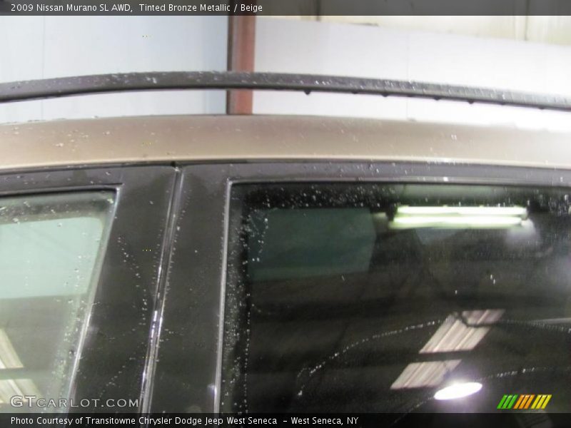 Tinted Bronze Metallic / Beige 2009 Nissan Murano SL AWD