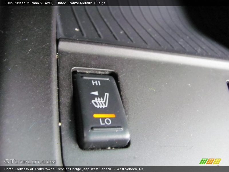Tinted Bronze Metallic / Beige 2009 Nissan Murano SL AWD