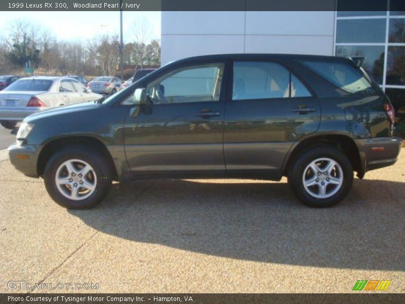 Woodland Pearl / Ivory 1999 Lexus RX 300